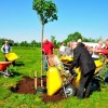 Start werkzaamheden herinrichting volkstuinen